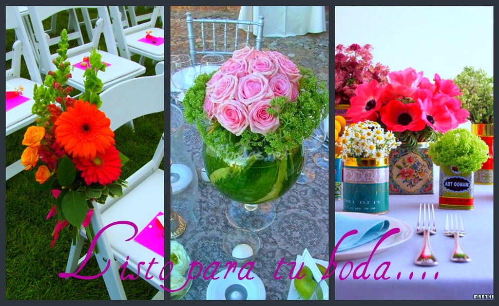 fotos flores