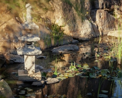 14 Bodas en Bolonia, Tarifa