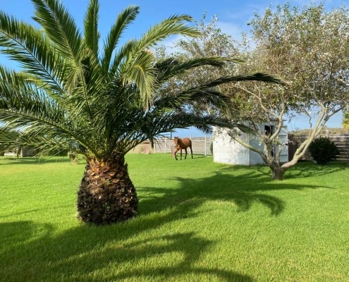 2 Espacio bodas en Tarifa, Bodasenplaya.es